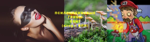 COCAINE Горно-Алтайск