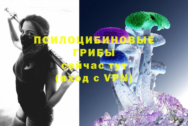 амф Нефтекумск
